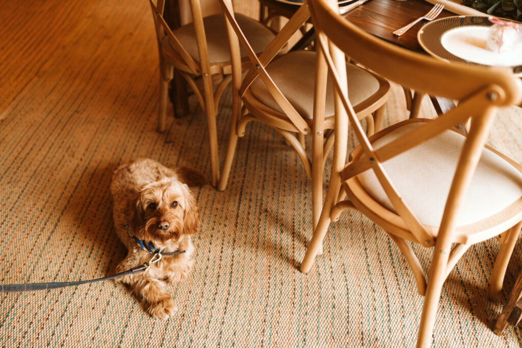 Are dogs allowed at Tipi weddings?